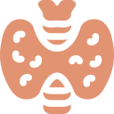 Thyroid